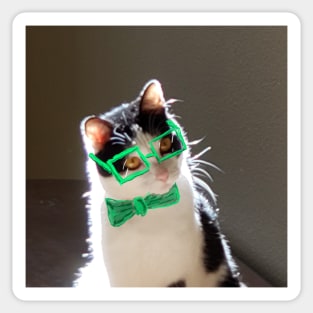 Smarty Cat! Sticker